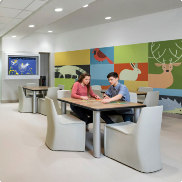 behavioral health products and solutions